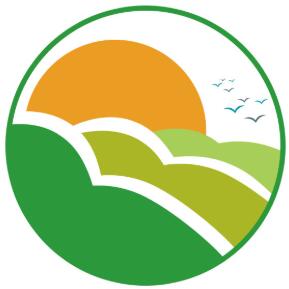 观察报中文网